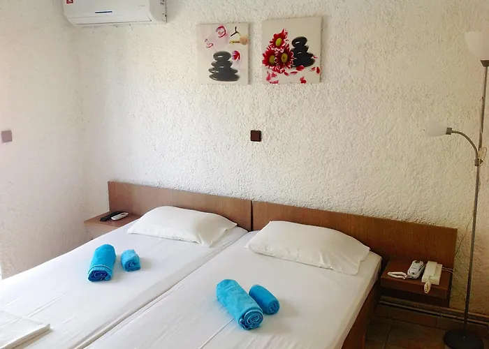 Apartament Aialion & - Steve